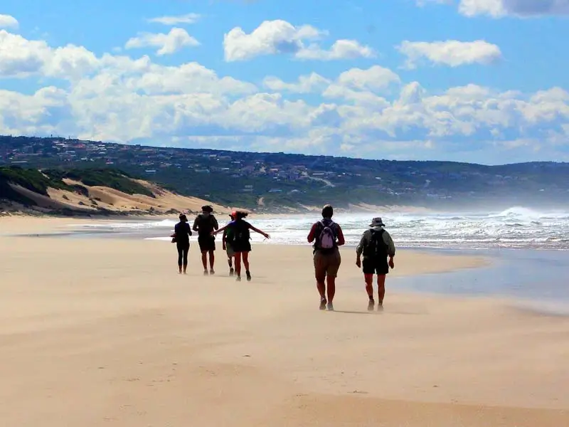 Garden Route Coastal Adventure
