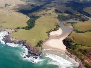 Wild Coast Wild Nguni Trail