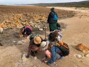 Garden Route Coastal Adventures with Hunter Gatherers Slackpacking Trails