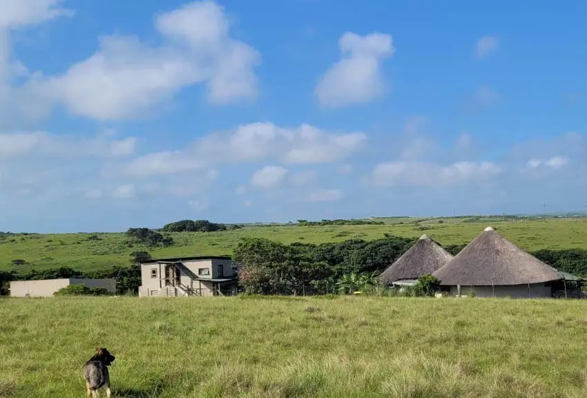The Hunter Gatherers Wild Coast Wild Nguni Trail offers an unforgettable hiking experience